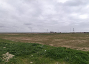 Satılır 200 sot torpaq Binə