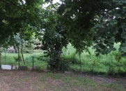 Satılır 5 sot torpaq Qax