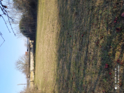 Satılır 14 sot torpaq Saatlı