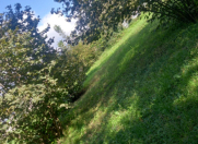 Satılır 20 sot torpaq Qəbələ