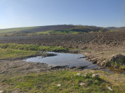 Satılır 100 sot torpaq İsmayıllı