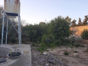 Satılır 7 otaqlı 22 m2 həyət evi Bilgəh