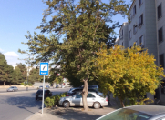 İcarəyə verilir 2 otaqlı 35 m2 köhnə tikili Elmlər Akademiyası m.