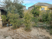 Satılır 1.7 sot torpaq Hövsan