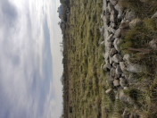 Satılır 5 sot torpaq Xudat