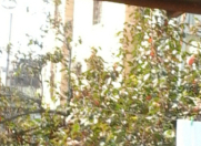 Satılır 6 otaqlı 100 m2 həyət evi Həzi Aslanov