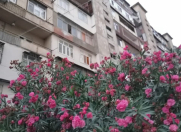 Satılır 2 otaqlı 56 m2 köhnə tikili Y.Günəşli