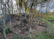 Satılır 0 otaqlı 2 m2 həyət evi Yardımlı