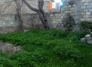 Satılır 3 sot torpaq Rəsulzadə