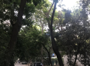 Satılır 3 otaqlı 65 m2 köhnə tikili Dostluq kinoteatrı