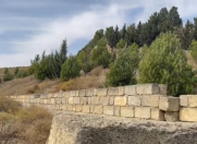 Satılır 30 sot torpaq Badamdar