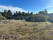 Satılır 12 sot torpaq Şağan