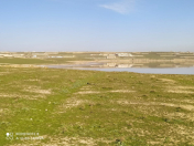 Satılır 11 sot torpaq Novxanı