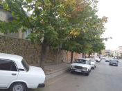 Satılır 150 otaqlı 4 m2 həyət evi Şamaxı