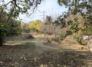 Satılır 25 sot torpaq Rəsulzadə