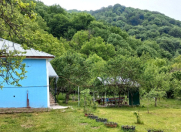 İcarəyə verilir 3 otaqlı 110 m2 həyət evi Qəbələ