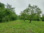 Satılır 56 sot torpaq Xaçmaz