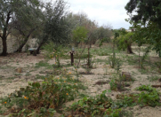 Satılır 1 otaqlı 12 m2 bağ evi Görədil