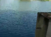 Satılır 3000 sot torpaq Xudat