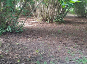 Satılır 60 sot torpaq Oğuz