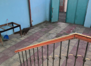 Satılır 3 otaqlı 60 m2 həyət evi Əmircan