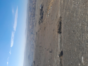 Satılır 4 sot torpaq Hökməli