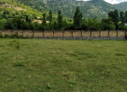 Satılır 12 sot torpaq Qəbələ