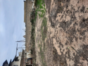 Satılır 6 sot torpaq Türkan