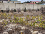 Satılır 3 sot torpaq Görədil