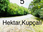 Satılır 500 sot torpaq İsmayıllı