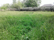 Satılır 12 sot torpaq Astara