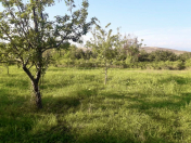 Satılır 70 sot torpaq Qəbələ