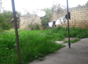 Satılır 5500 sot torpaq Bakıxanov