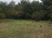 Satılır 6 sot torpaq İsmayıllı