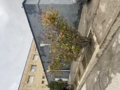 İcarəyə verilir 5 otaqlı 500 m2 obyekt Böyükşor