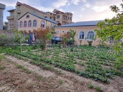 Satılır 8 sot torpaq Badamdar