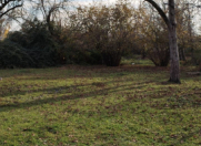 Satılır 26 sot torpaq Qəbələ