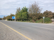 Satılır 50 sot torpaq Qəbələ