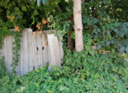 Satılır 13 sot torpaq İsmayıllı