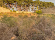 Satılır 8 sot torpaq Masazır