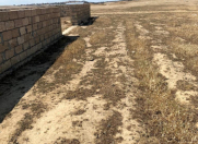 Satılır 5 sot torpaq Saray