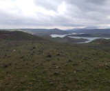 Satılır 1000 sot torpaq Şabran