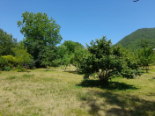 Satılır 20 sot torpaq İsmayıllı