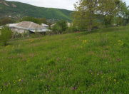 Satılır 6 sot torpaq Quba