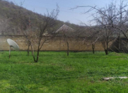 Satılır 9 sot torpaq Qəbələ