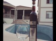 Satılır 5 otaqlı 220 m2 villa Badamdar