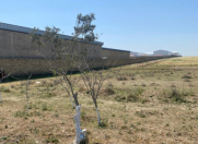 Satılır 12 sot torpaq 6 mkr