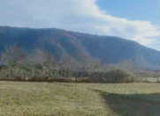 Satılır 12 sot torpaq Zaqatala