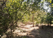 Satılır 2 otaqlı 12 m2 həyət evi Naxçıvan