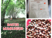 Satılır 14 sot torpaq Oğuz